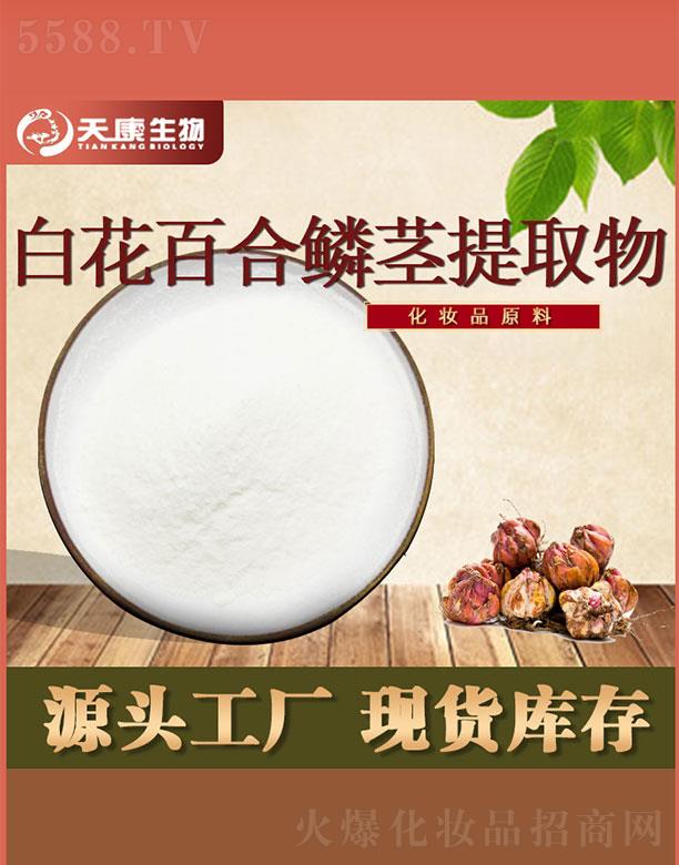 쿵Ƽ޹˾쿵׻ٺ[oȡ