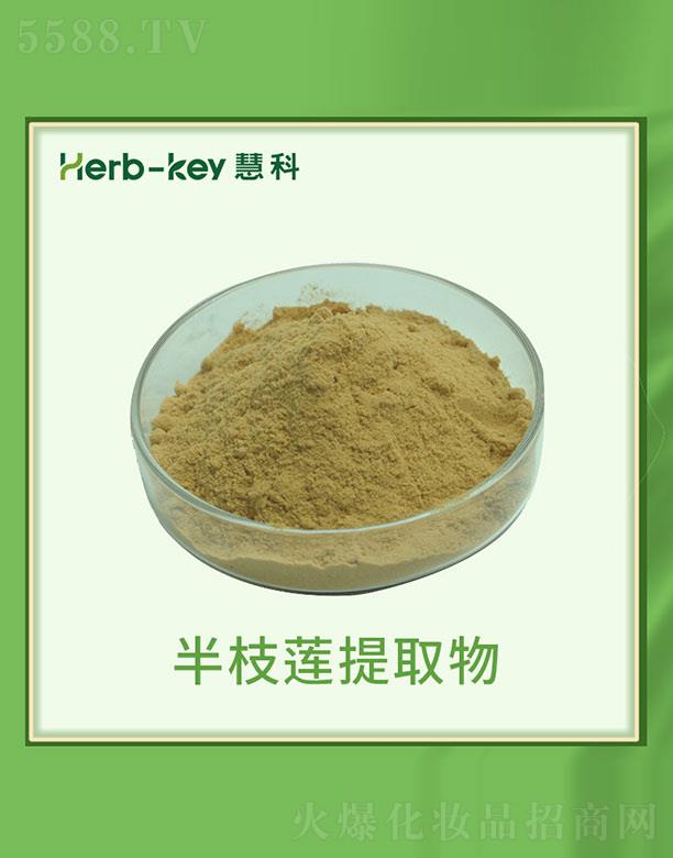 ۿֲ_l޹˾ۿư֦ɏȡ