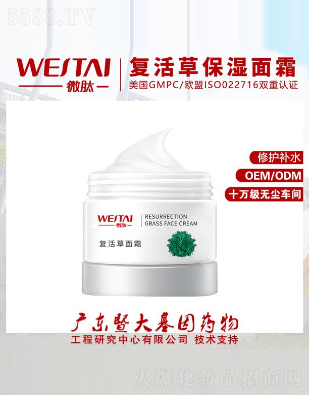 V|΢Ƽ޹˾΢ďͻ˪ oaˮ