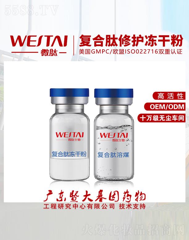 V|΢Ƽ޹˾΢ďͺoɷ ߻