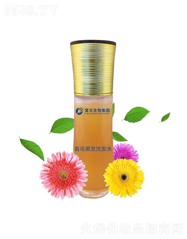 ɽ|ʹƼ޹˾ʹＯFמڰlϴlˮӹ