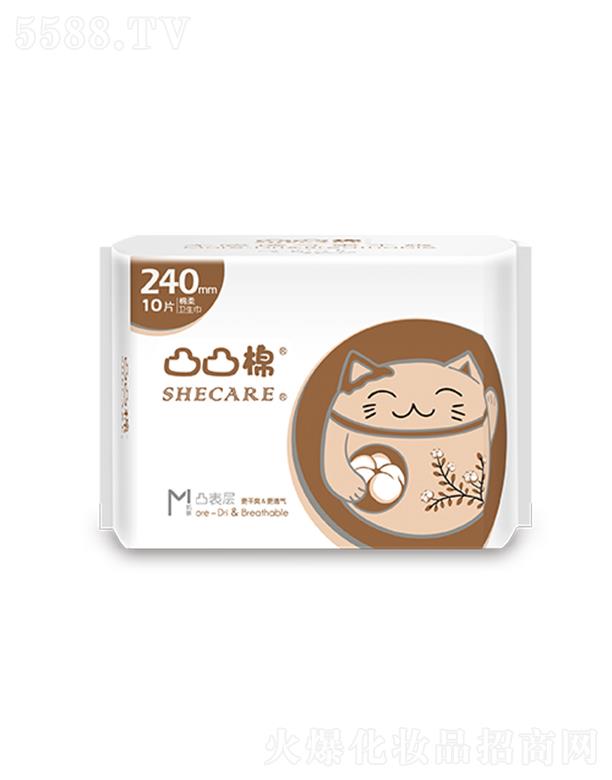 RlƷ޹˾͹͹ˬ240mm-10Ƭ