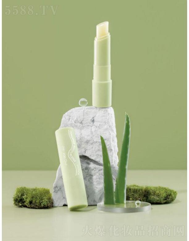 C̄޹˾C   Cӛ  ̝    aˮ