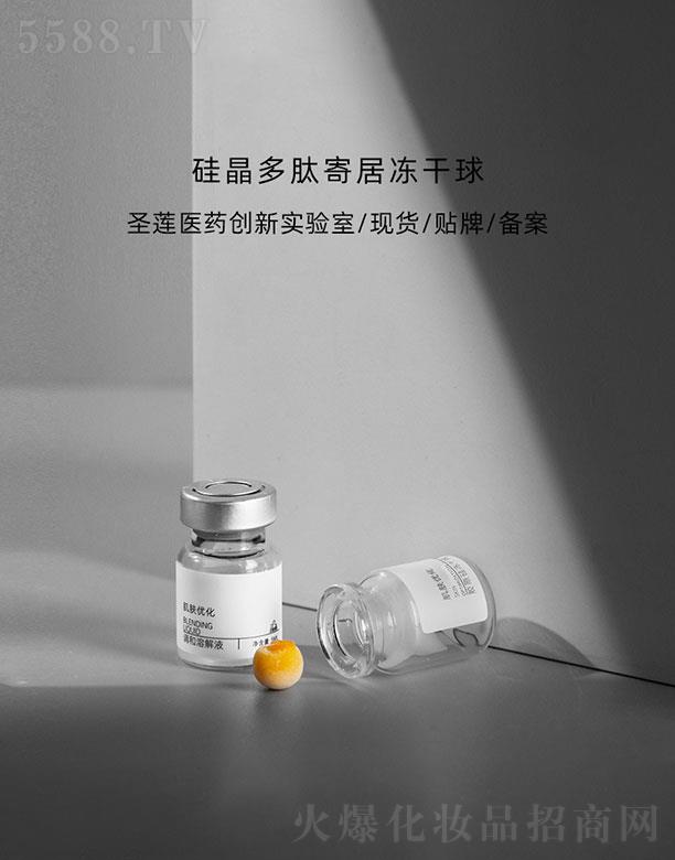 VʥɏtˎƼ޹˾Vʥɏ  ʥɏ辧ļľӃ   o   ëռ