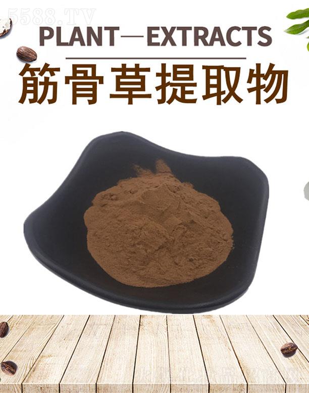 四海筋骨草提取物