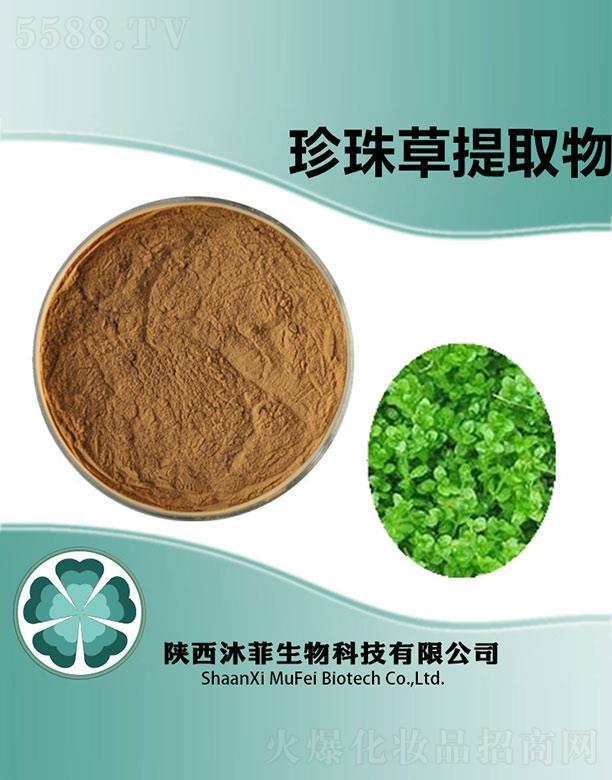 沐菲珍珠草提取物