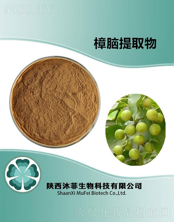 沐菲樟腦提取物