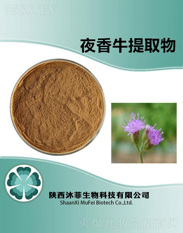 沐菲夜香牛提取物