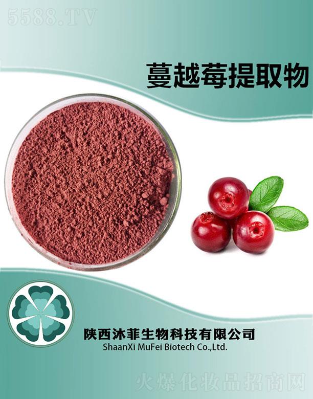 沐菲蔓越莓提取物