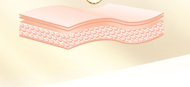 顏魅多效修護(hù)舒緩精華液 顏魅多效修護(hù)舒緩精華液